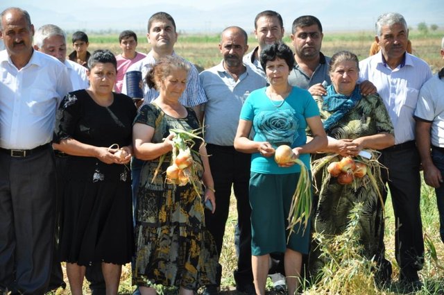 Introduction of new seed varieties through demonstration plots with seed dealers