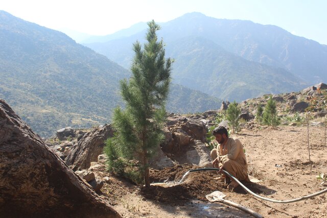 Using lift irrigation for afforestation and agroforestry in Kunar